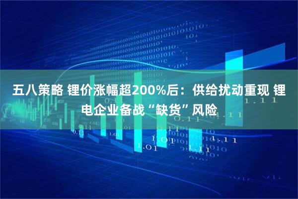 五八策略 锂价涨幅超200%后：供给扰动重现 锂电企业备战“缺货”风险