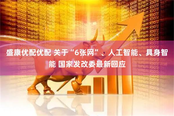 盛康优配优配 关于“6张网”、人工智能、具身智能 国家发改委最新回应