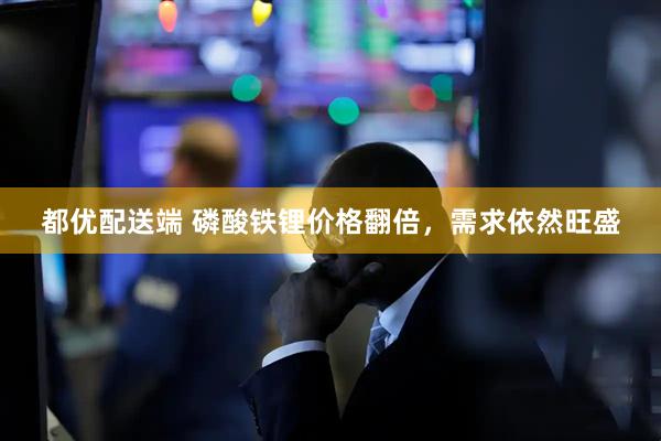 都优配送端 磷酸铁锂价格翻倍，需求依然旺盛
