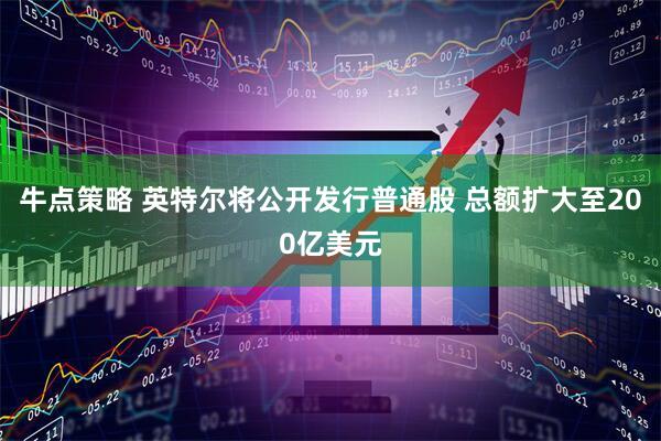 牛点策略 英特尔将公开发行普通股 总额扩大至200亿美元
