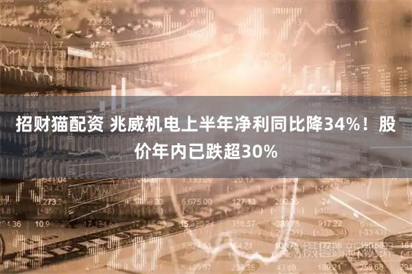 招财猫配资 兆威机电上半年净利同比降34%！股价年内已跌超30%